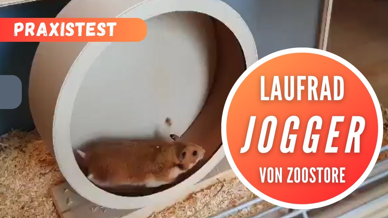 Praxistest: Hamster Laufrad 