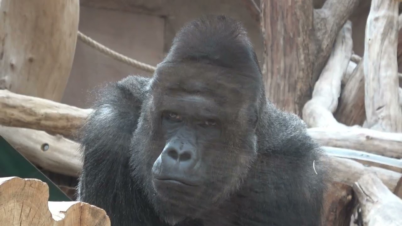 Zoo Praha Březen 2024