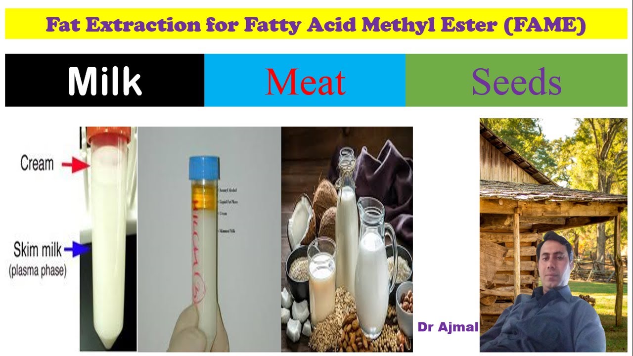 Fats and Oil extraction methods