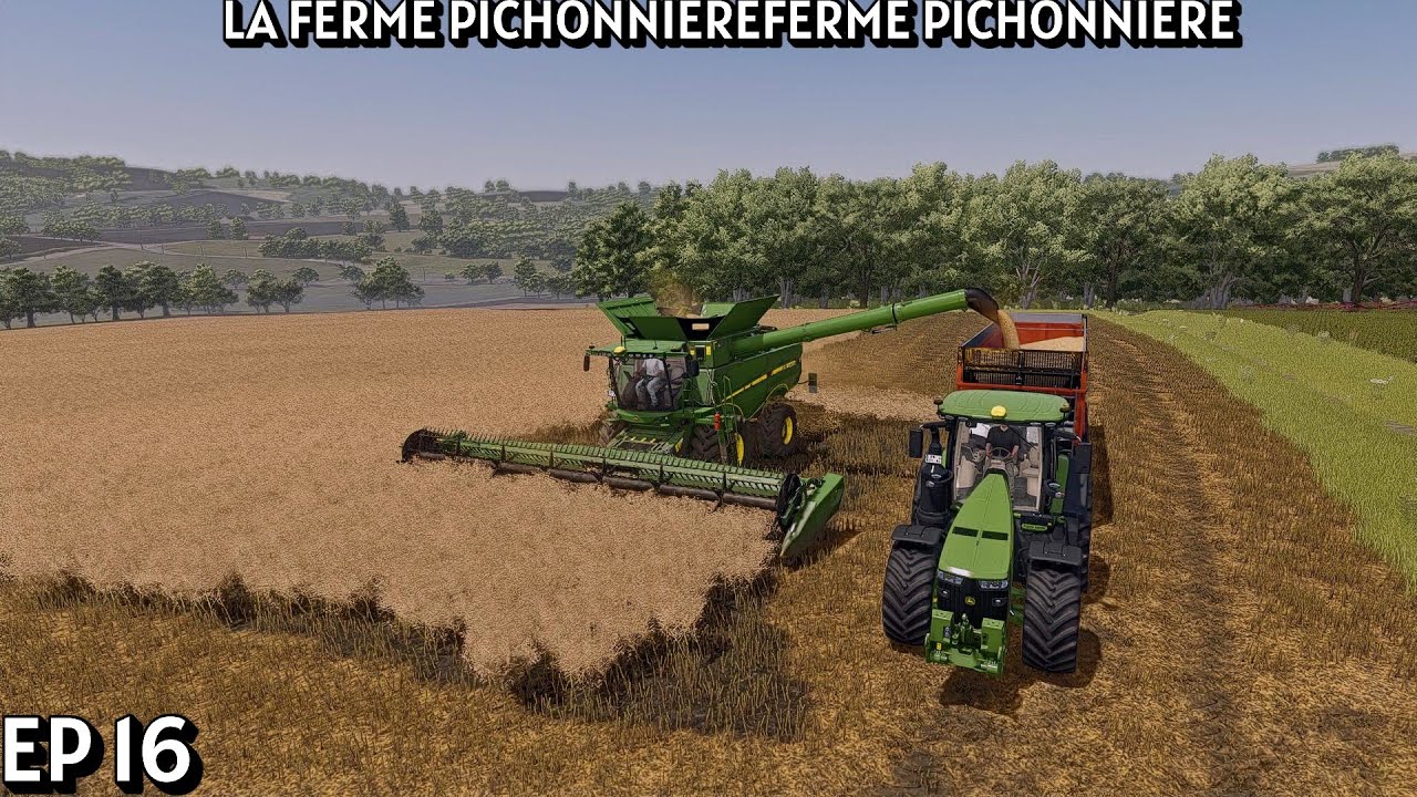on donne a manger au animaux puis on commence la moisson de moutarde #15