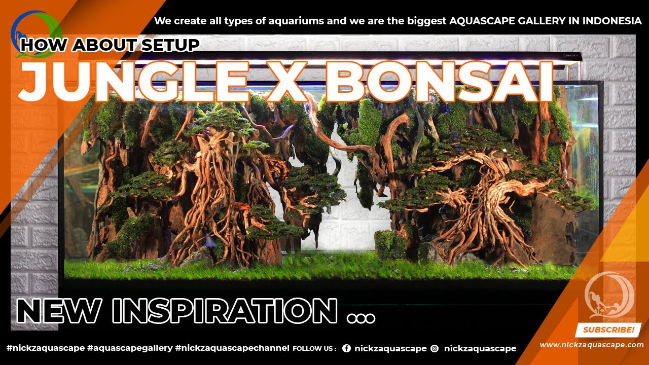 AQUASCAPING SETUP TANK CLIENT || JUNGLE BONSAI 150 CM 2 VIEW