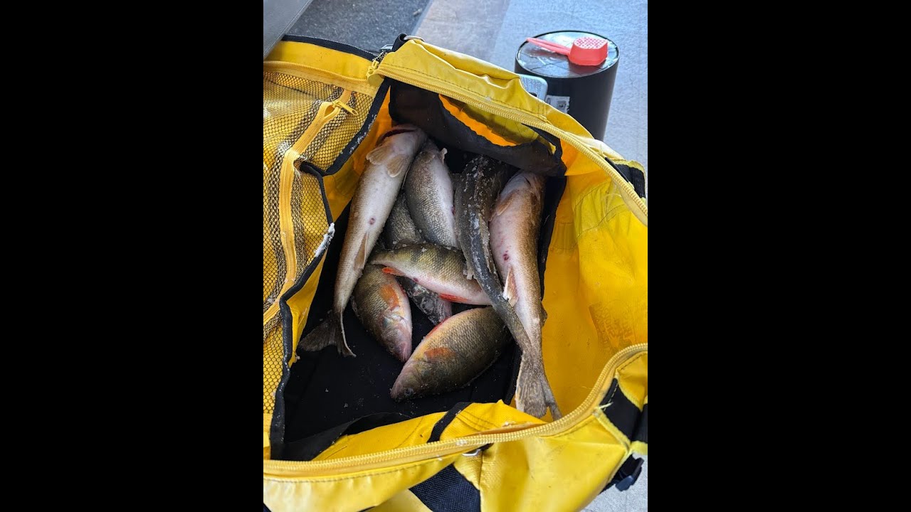 Oneida Lake Ice Fishing 2025-2026 #2