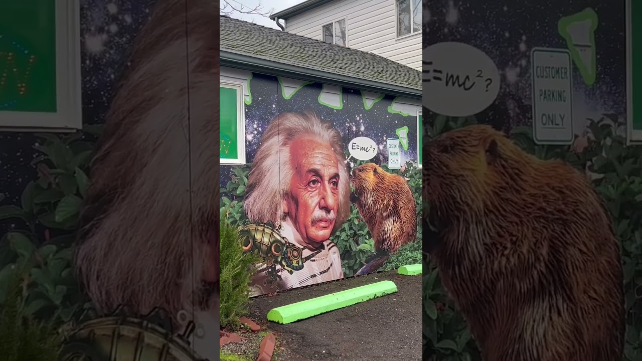 Mr Nice Guy Cause Not All Nice Guys Finish Last -Corvallis Oregon Cannabis Shop #oregon #community