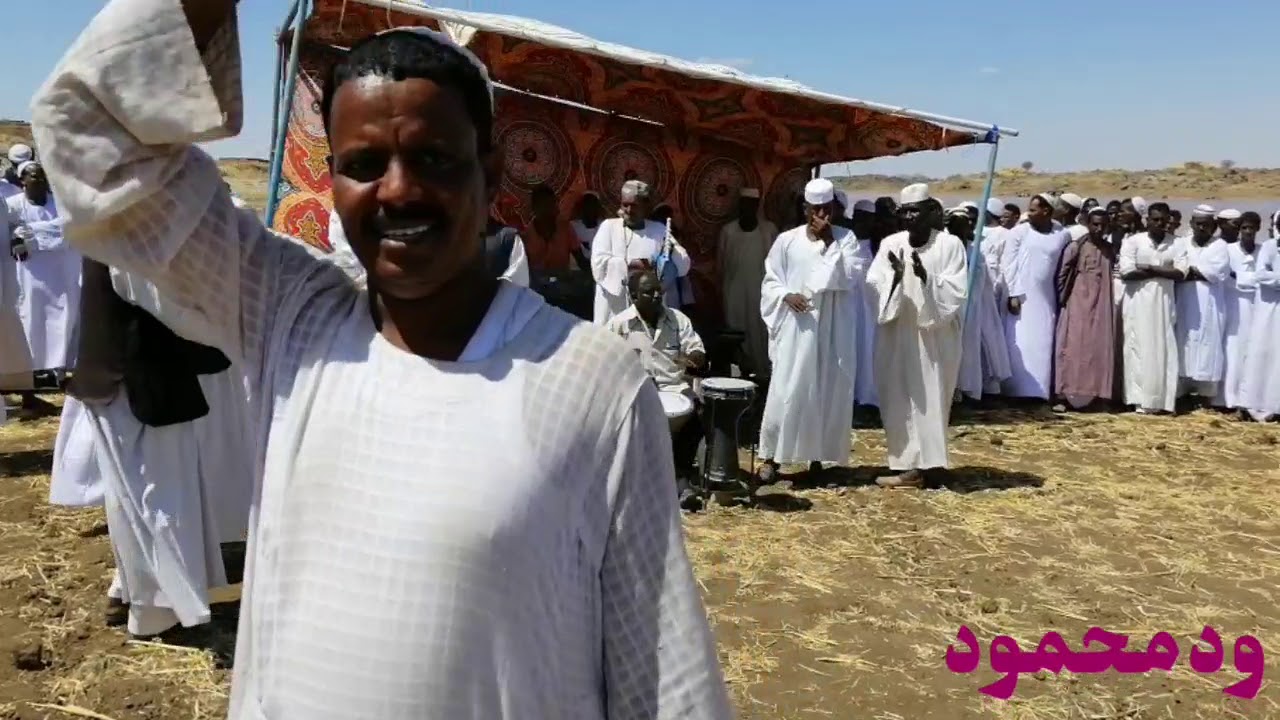 معاويه المقل..حفلة شرري