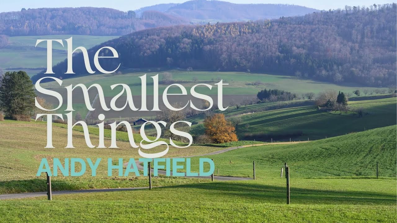 The Smallest Things -- Solo Mandolin Album/Demos