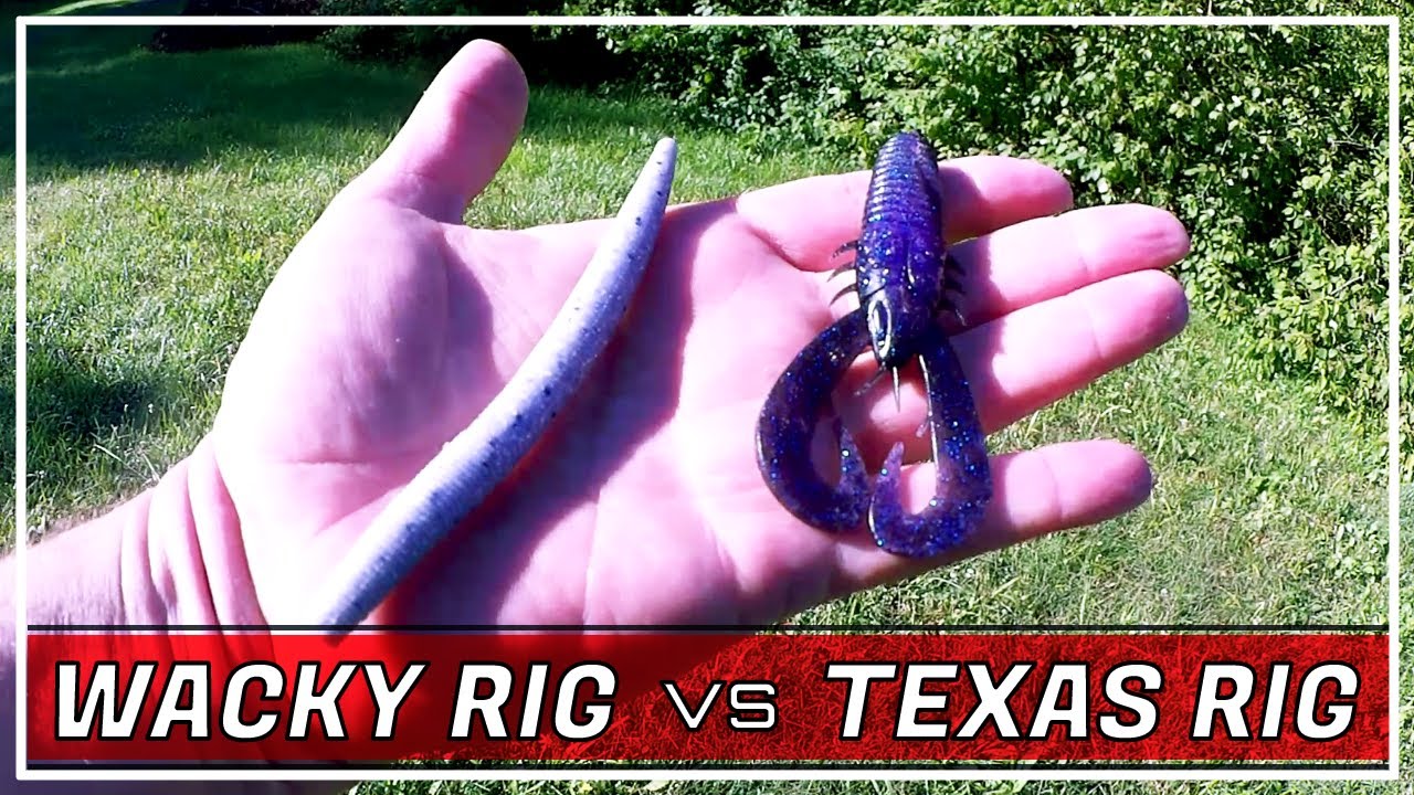 Wacky Rig vs Texas Rig - Bass Fishing with Plastic Worms and Craws