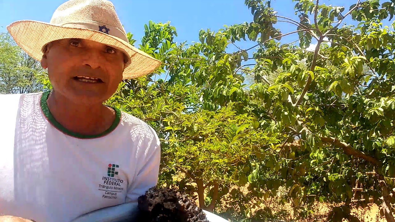 Véi Ná mostrando os benefícios do mél de Arapuá