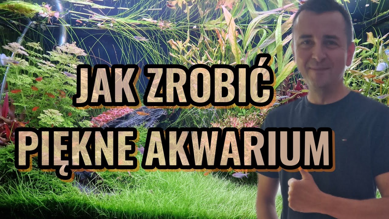 Jak zrobić piękne akwarium? W odwiedzinach u Marcina.