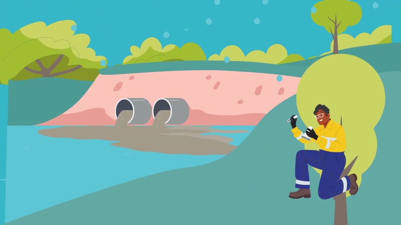 Investigating the impacts of wet weather overflows
