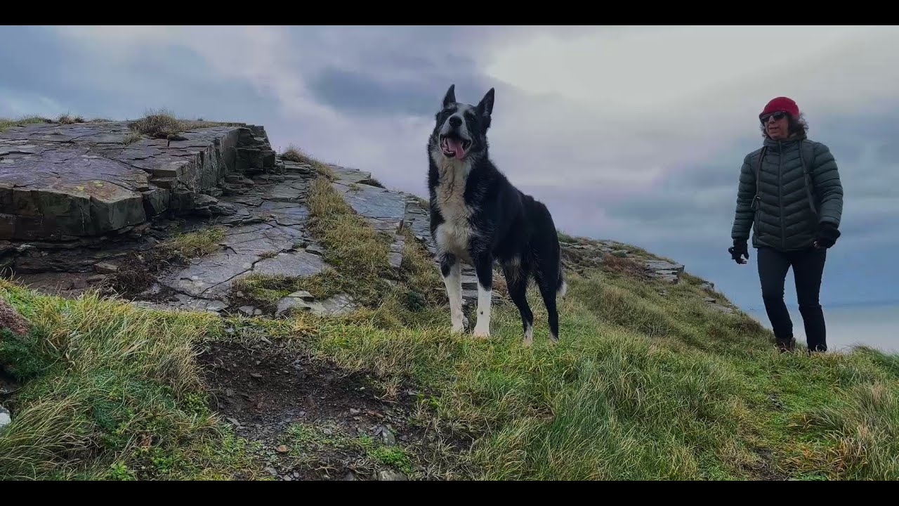 Solo Hiking With My Dog Along The South West Coast Path