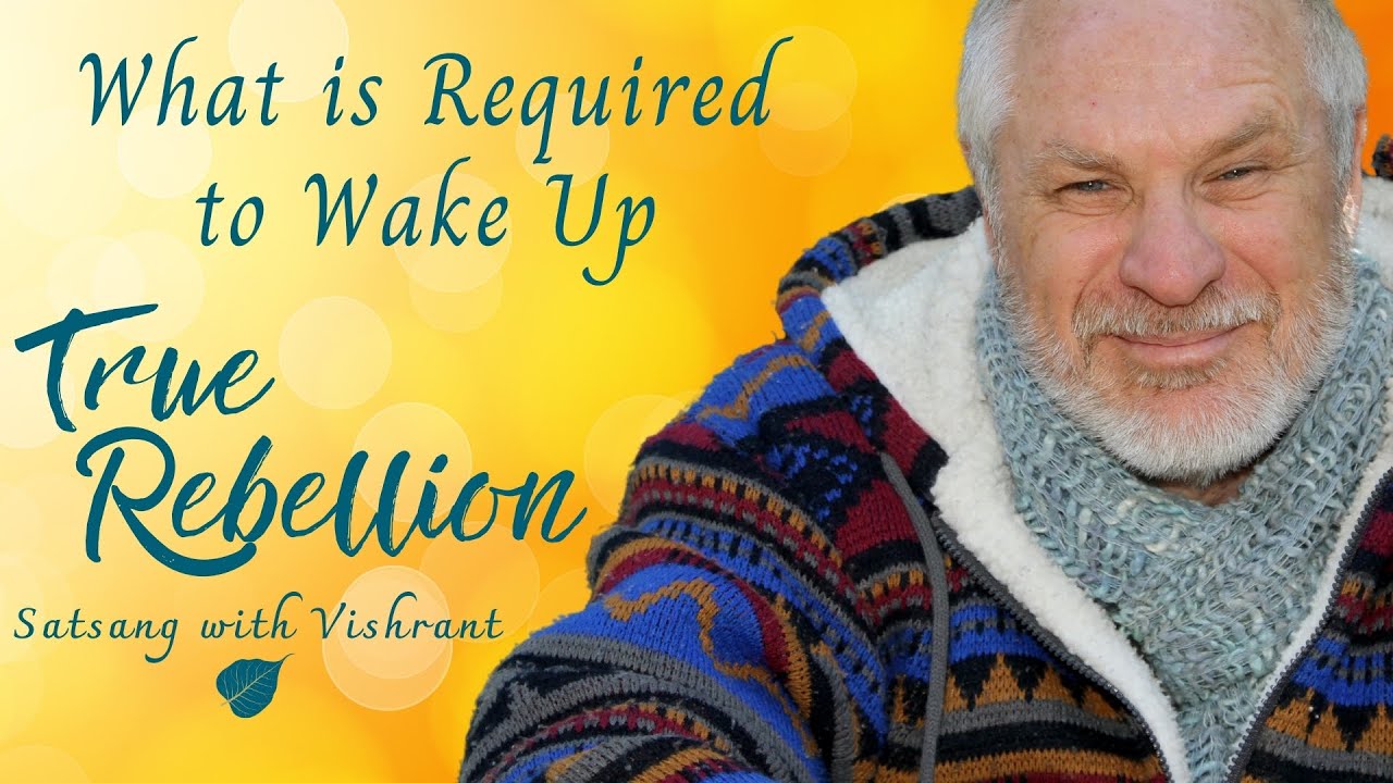 What is Required to Wake Up? - Satsang with Vishrant