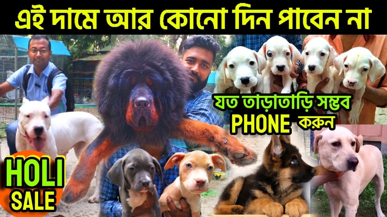 Home Breed Dog in kolkata | dog market in kolkata price | Home Breed Puppies | Dog Market in Kolkata