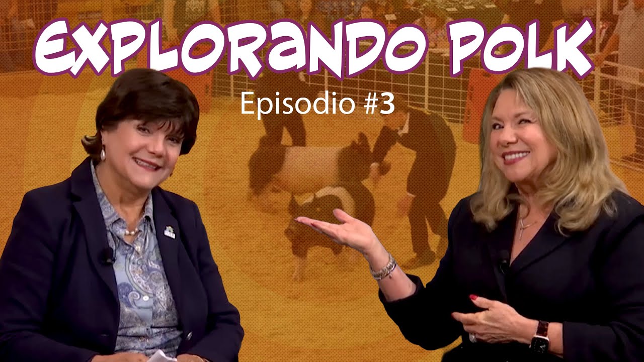 Explorando Polk: Historia de la agricultura y la Feria Juvenil de Polk