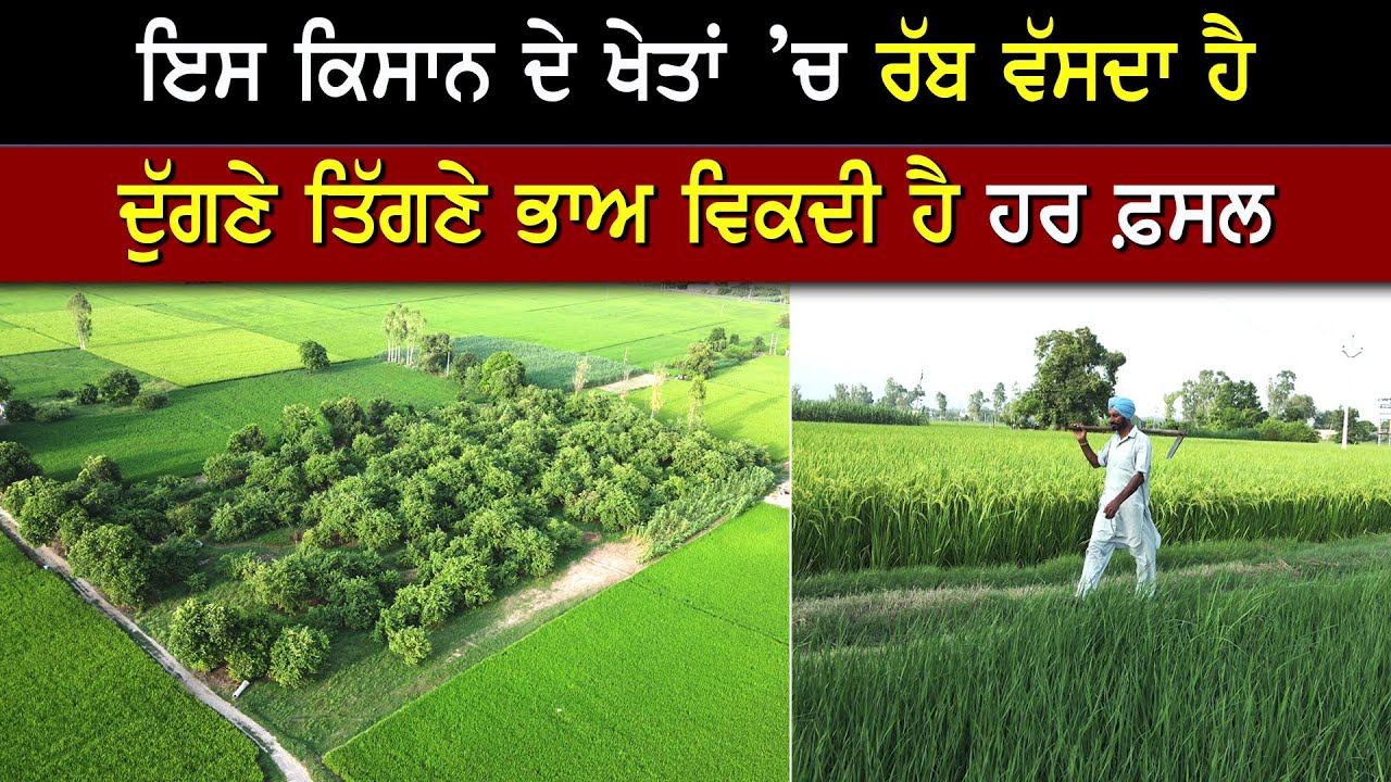 ਜਿਉਂਦੀ ਖੇਤੀ ਕਰਨ ਵਾਲੇ ਕਿਸਾਨ ਨੂੰ ਮਿਲੋ