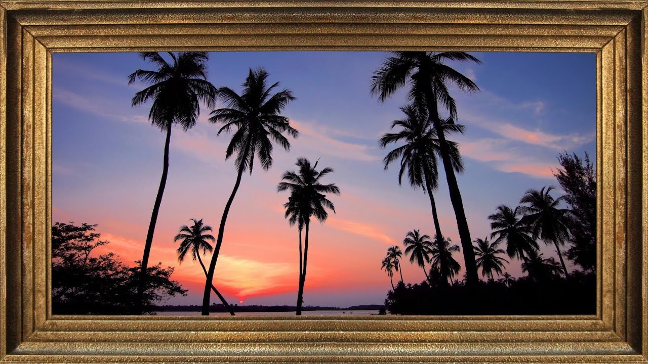 Beautiful Sunset Over Tropical Palm Trees | 2-Hour Ambient Nature Loop for TV Screen & Decoration