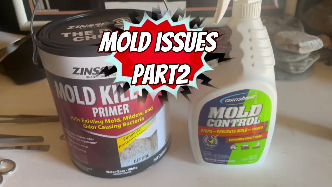 “Fixed The Mold Issue In The FishRoom” pt.2 is done ✅ also did some major changes 🤓 