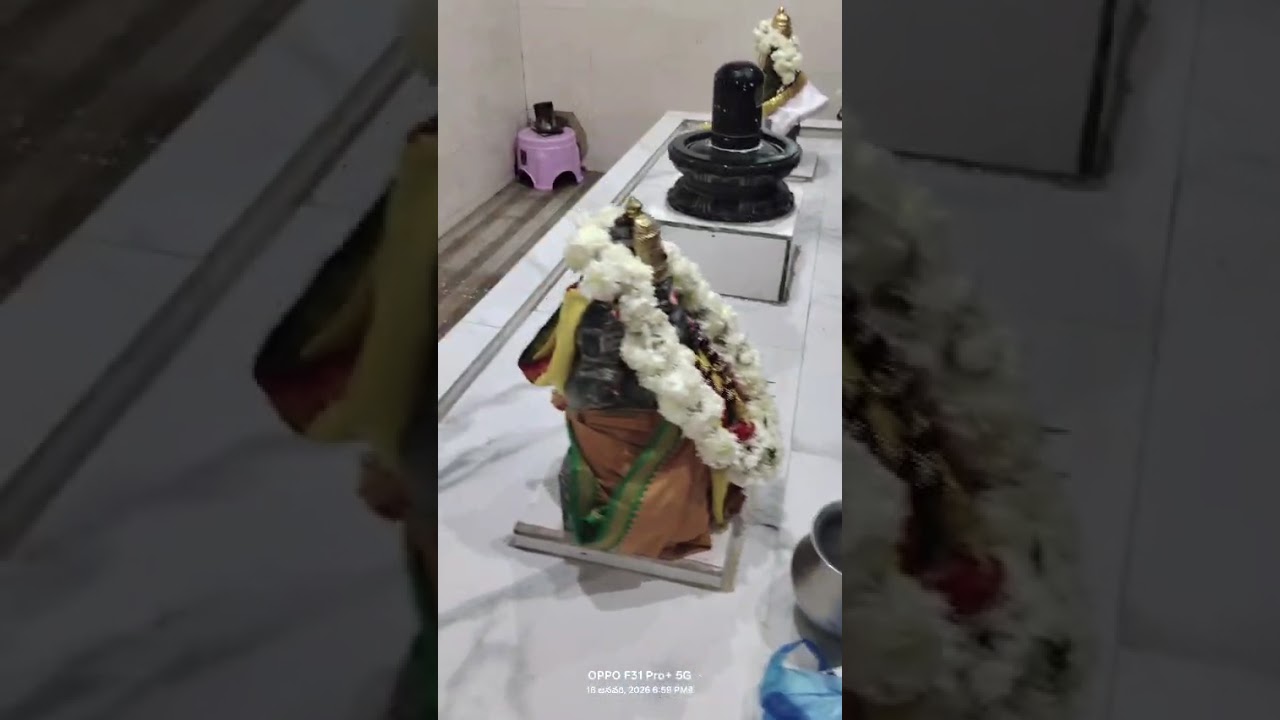 ఈరోజు జరిగిన కనుమ+ప్రదోష+మాస శివరాత్రి అభిషేకం సందర్భంగా మన youtubers పేరు మీద చేసిన పూజ 
