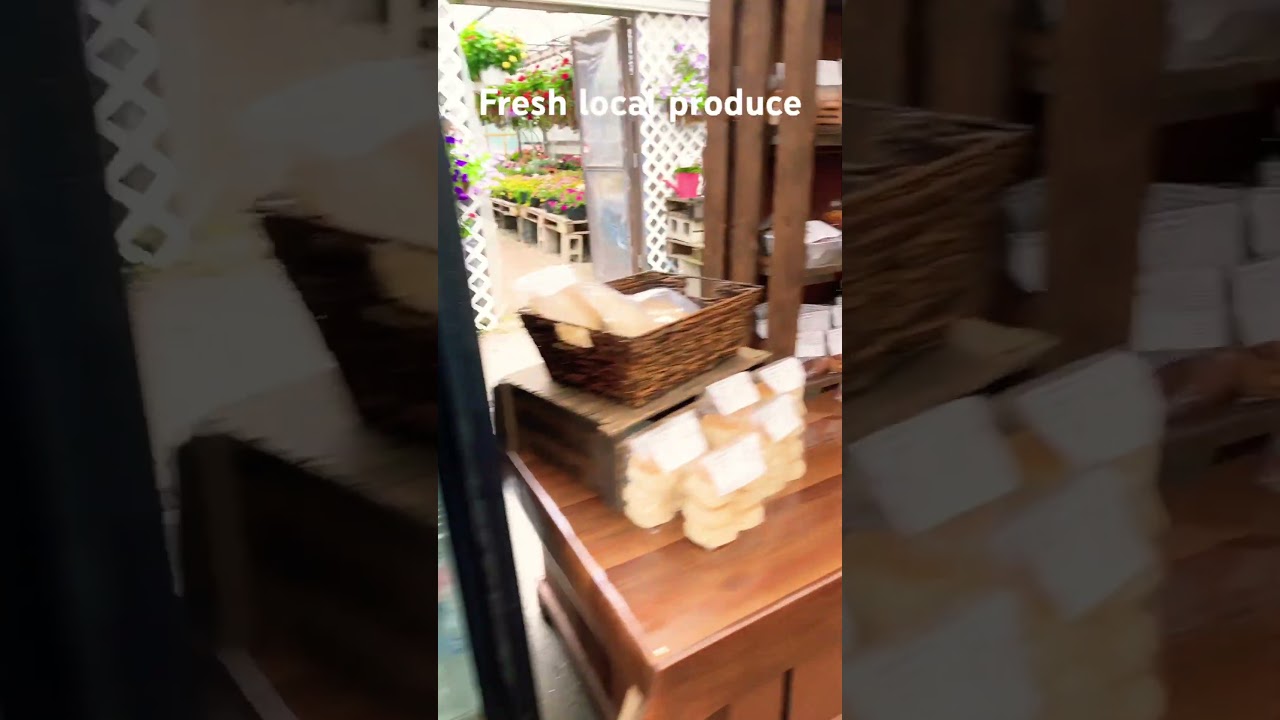 Come visit us at little acres farm market in Glastonbury Connecticut