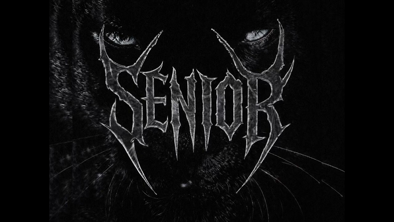 VAMP - SENIOR 