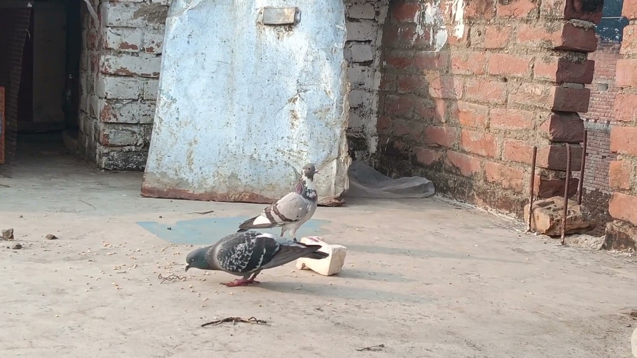 #newyearseve