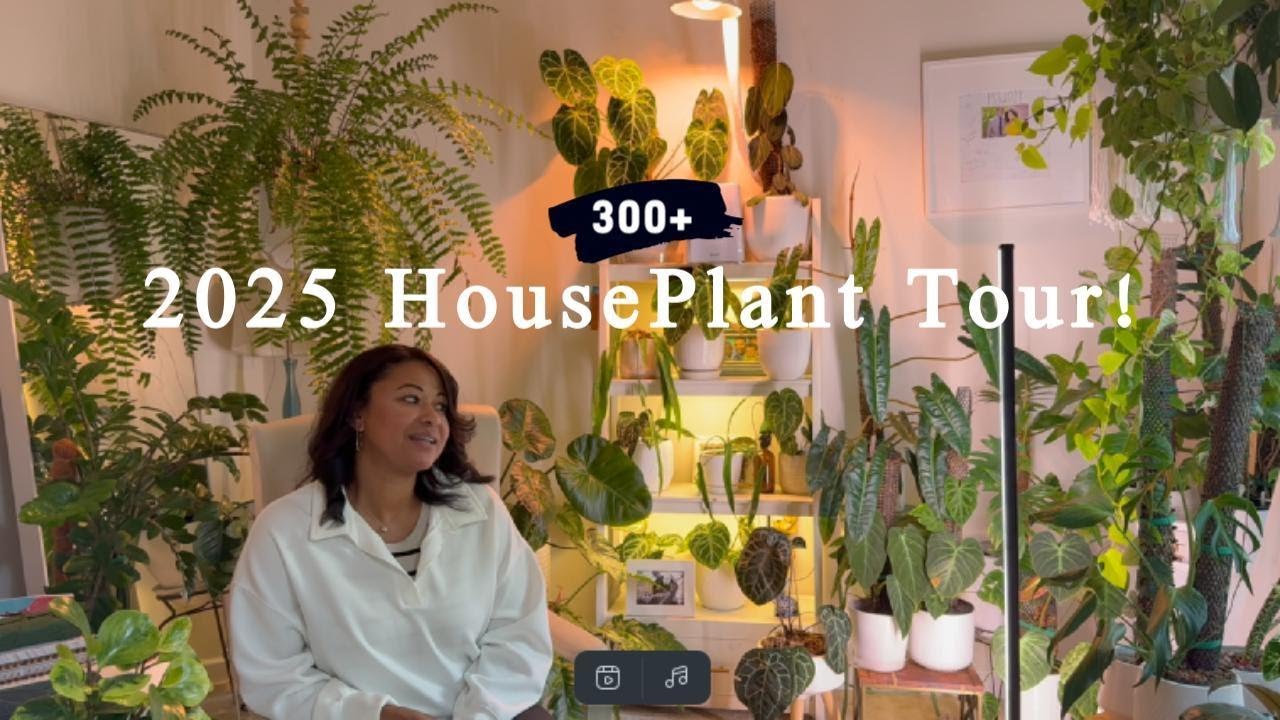 My 2025 Houseplant Tour! (First Floor)