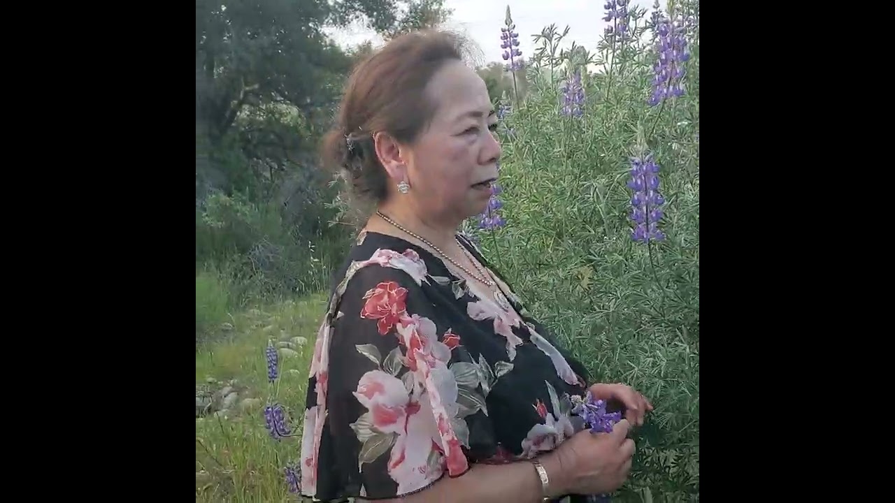 Peb saib paj xyiav zoo nkauj heev 
