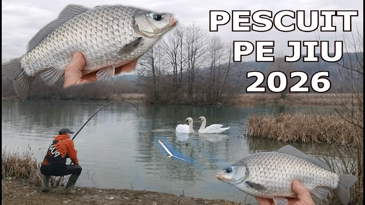 Pescuit PE JIU 2026 PE BARAJ în LOCUL UNDE SE ADUNĂ CARAȘII IARNA 13 Februarie 2026