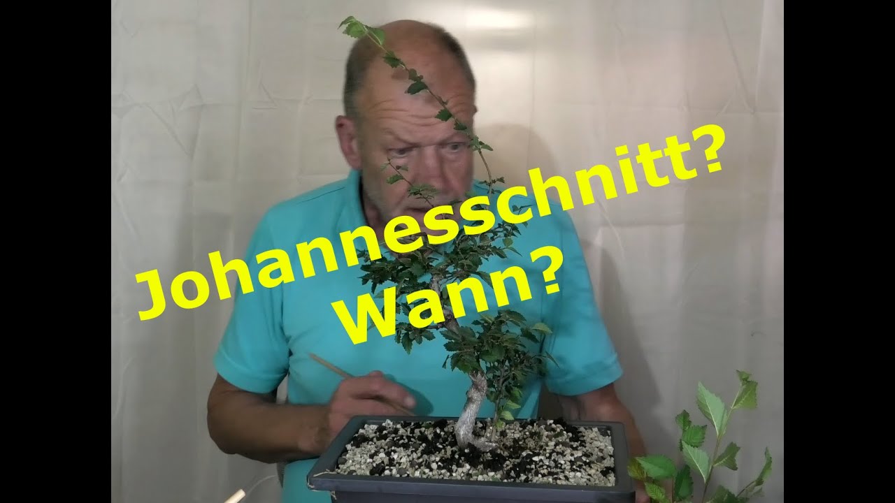 Johannesschnitt, Wann?
