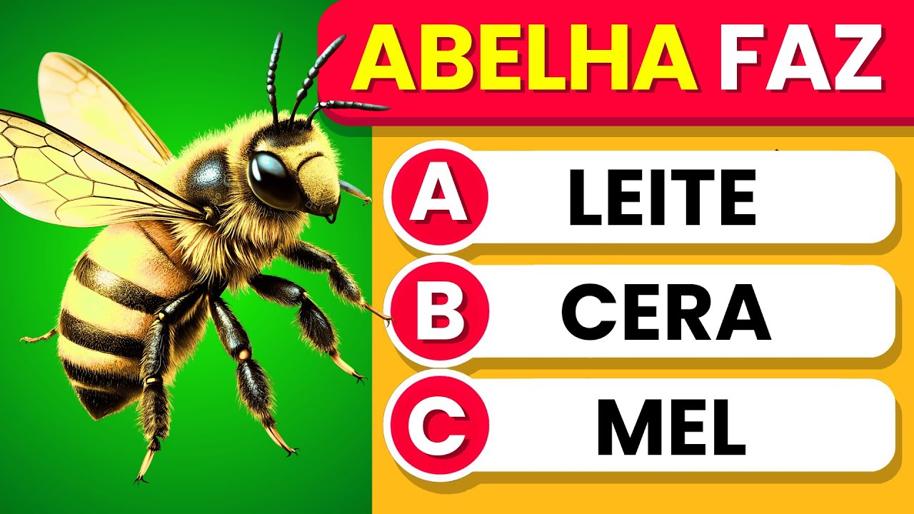 Quão bom é o seu CONHECIMENTO GERAL? 🧠✅🏆 Faça este quiz de 60 PERGUNTAS para descobrir!