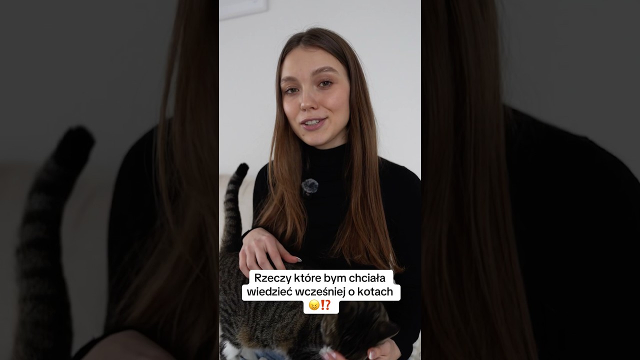 Rzeczy kt&oacute;re bym chciała wiedzieć wcześniej, zanim przygarnęłam kota #kot #koty #kociamama