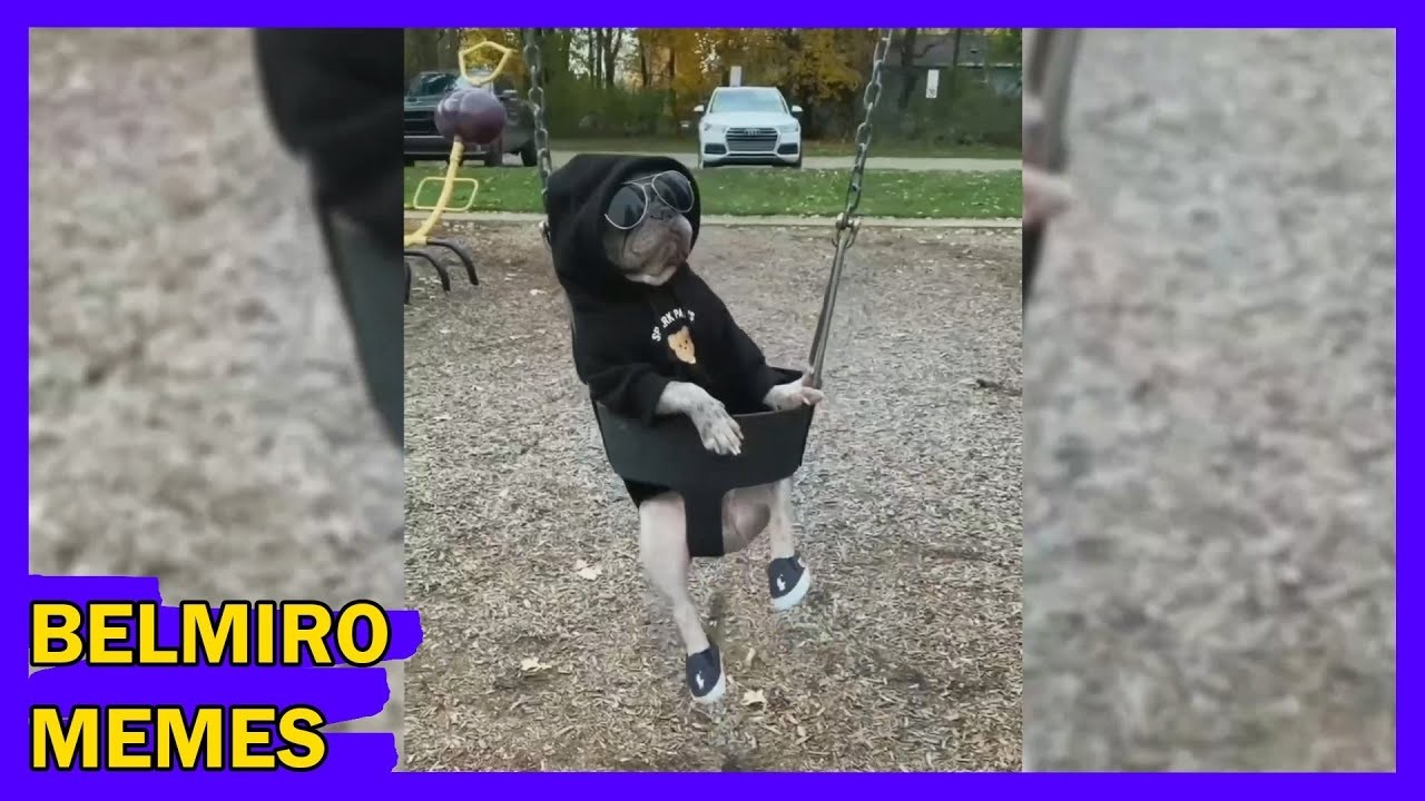 Belmiro Memes: Dublagens de animais engraçados - Episódio 648