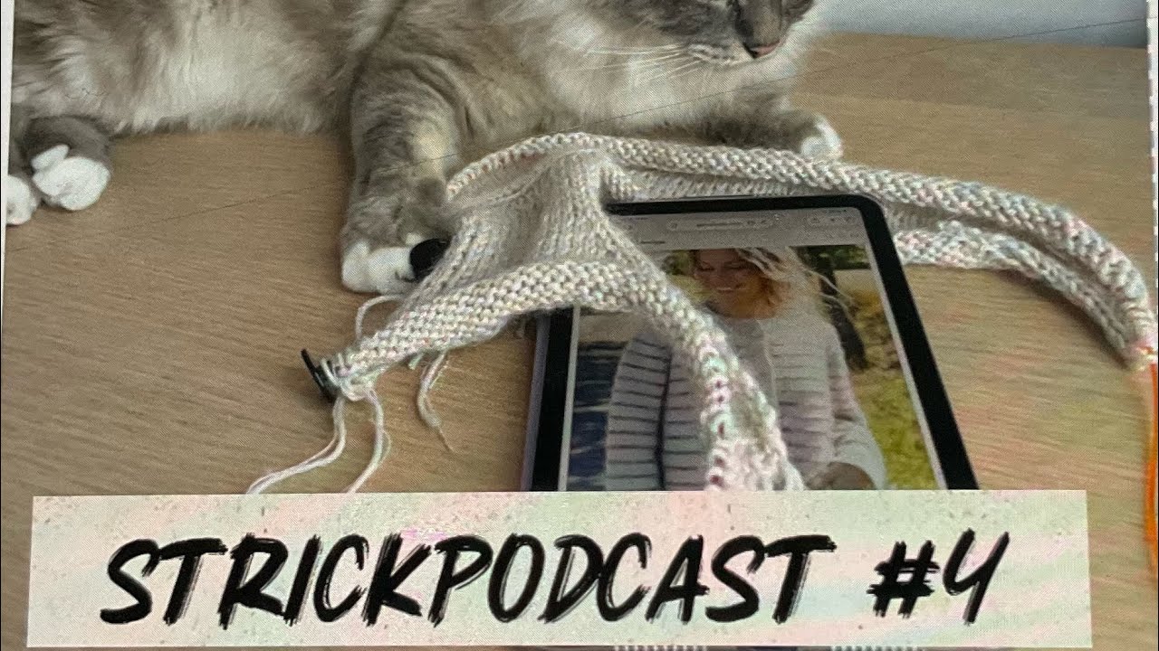 Strickpodcast #4 - Update zum Fairy Lights Cardigan und Storytime zu meinem Teststrick 🧶🧶🧶