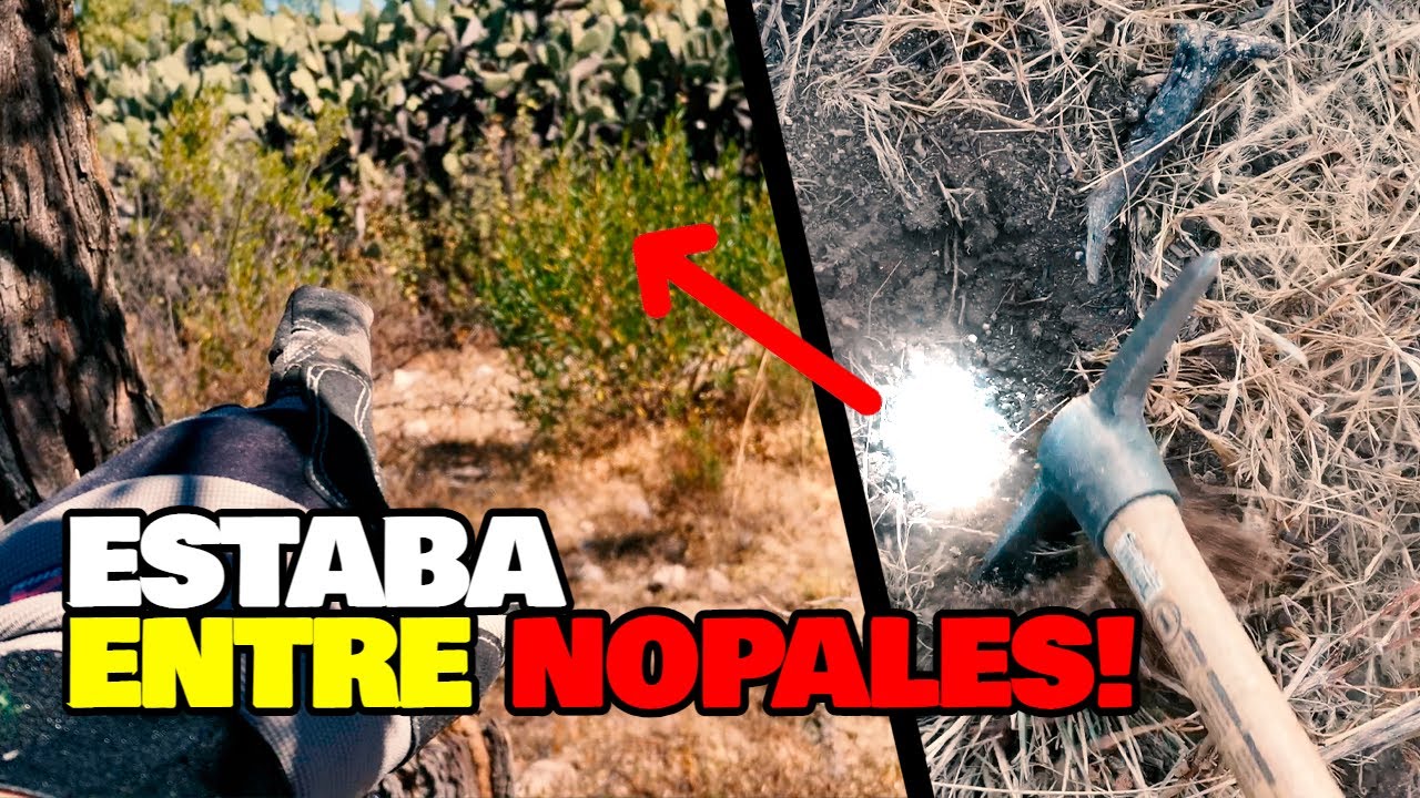 Buscando TESOROS en un CERRO Enterrada Bajo Nopales la Plata Encontré! SORTEO