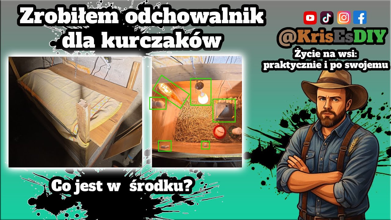 Zrobiłem domek (odchowalnik) dla kurczaków | Co jest w środku?