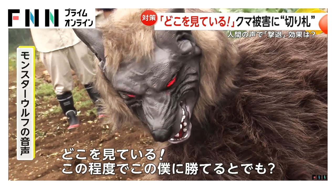 クマ対策の切り札となるか？野生動物撃退装置「モンスターウルフ」50種類以上の音声やLEDライトで威嚇