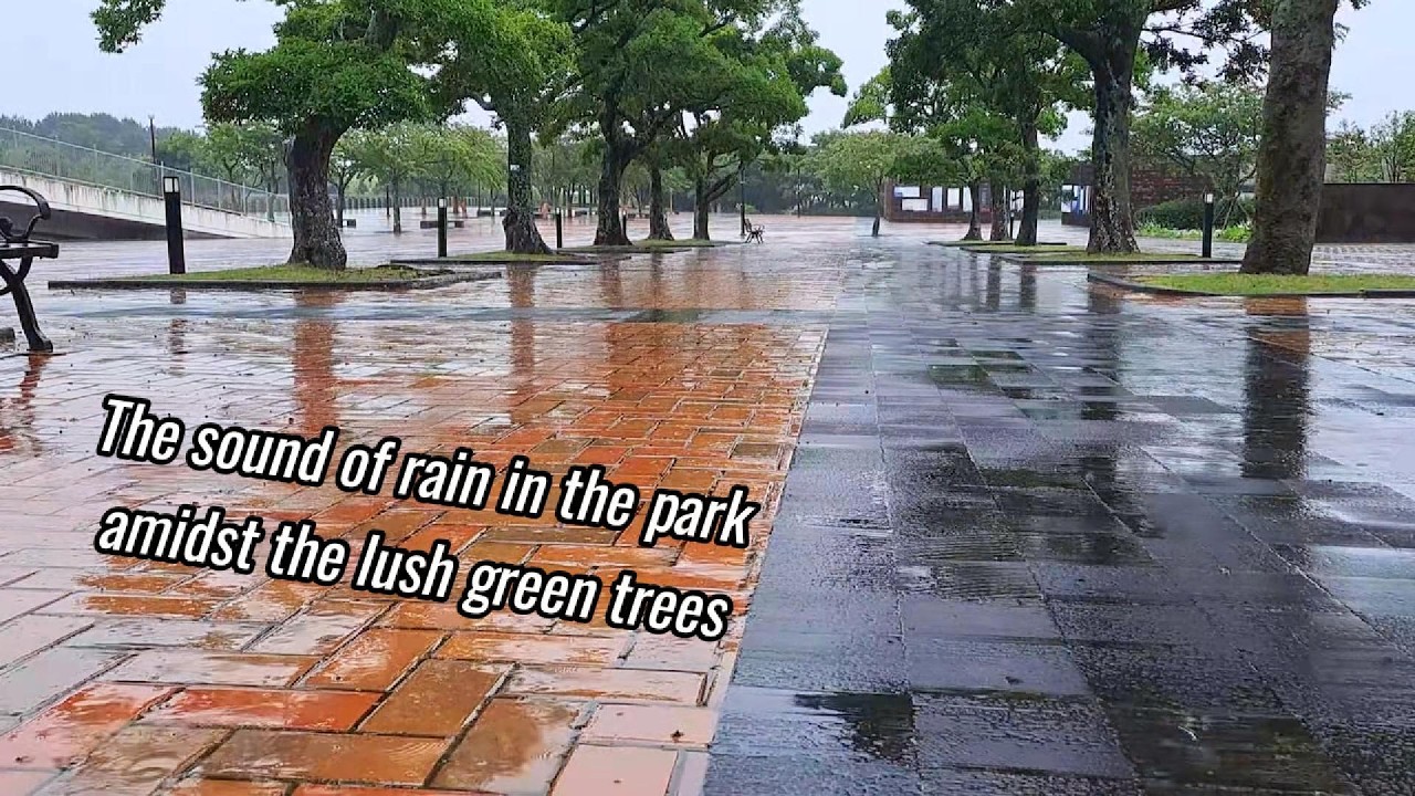 Rain in the Park | Relaxing White Noise for Studying, Sleeping & Deep Focus (8 Hours)