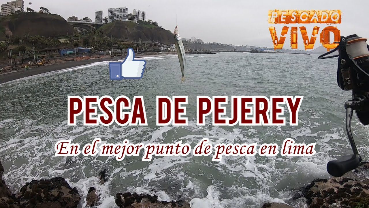 Pesca de pejerey en el mejor punto de Pesca en Lima - Perú