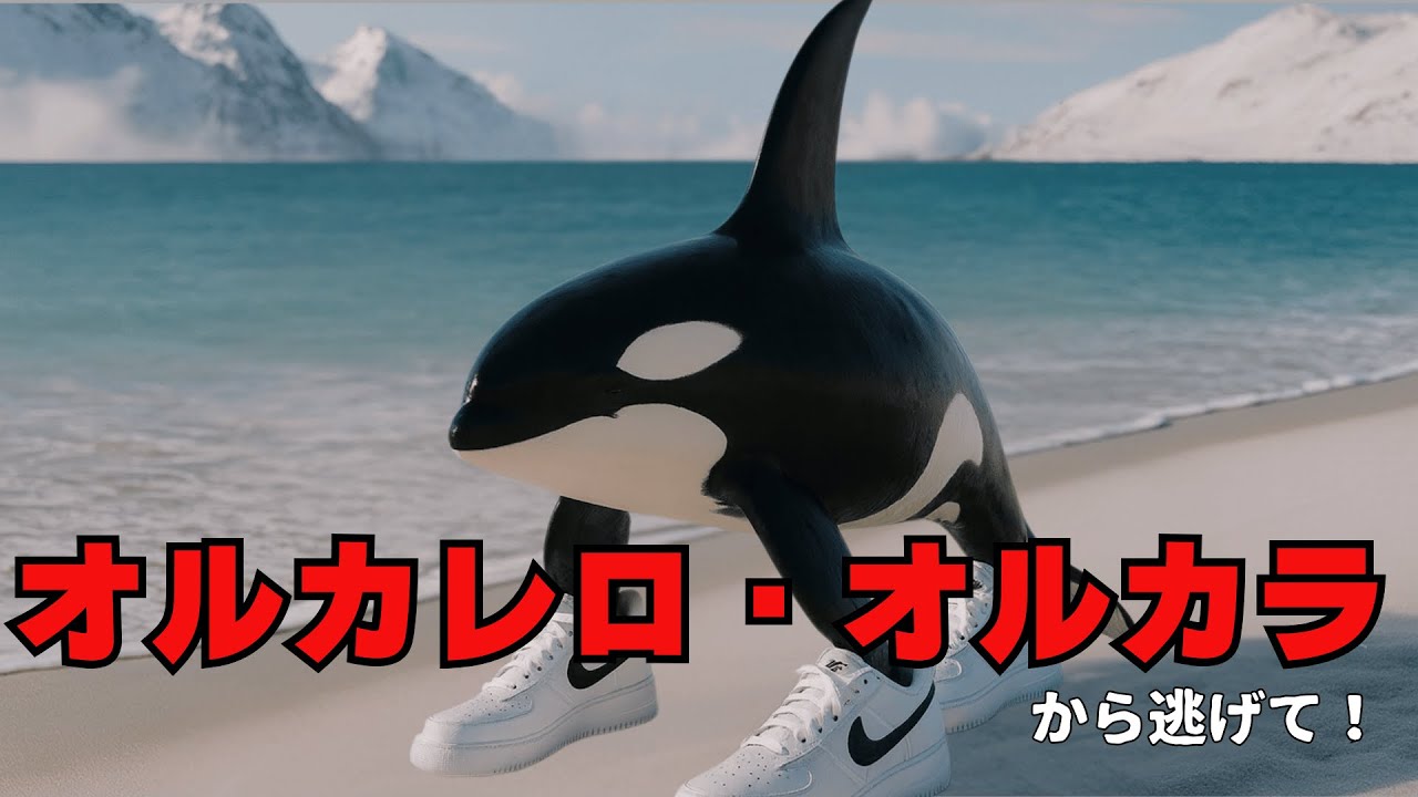 オルカレロ・オルカラから逃げて！
