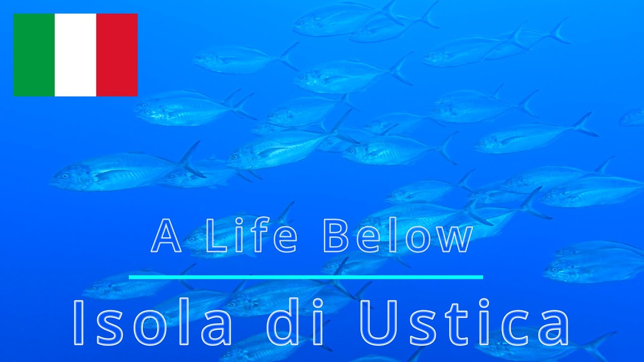 ALB Isola di Ustica/ Mediterranean sea / Italy/ Sicily/ Tauchen / Scuba / Dive / Diving / Samsung 4k