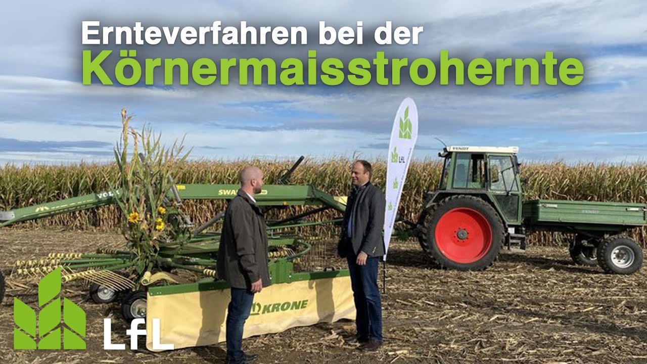 Ernteverfahren für die Ernte von Körnermaisstroh