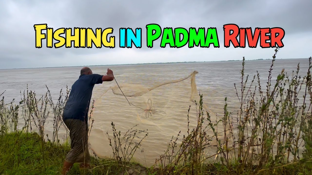 পদ্মার ঢেউ আর খ্যাপলা জালে বিভিন্ন ধরনের মাছ | Fishing in Padma River 