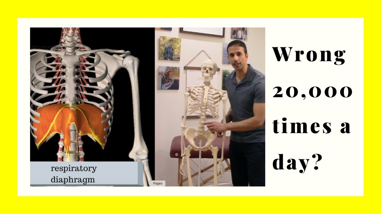 Chronic Neck & Shoulder tightness: Diaphragmatic Breathing Exercises