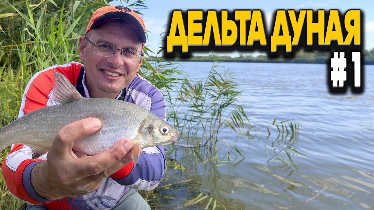 Ловим рыбу на фидер! Дядя Фёдор в устье Дуная.