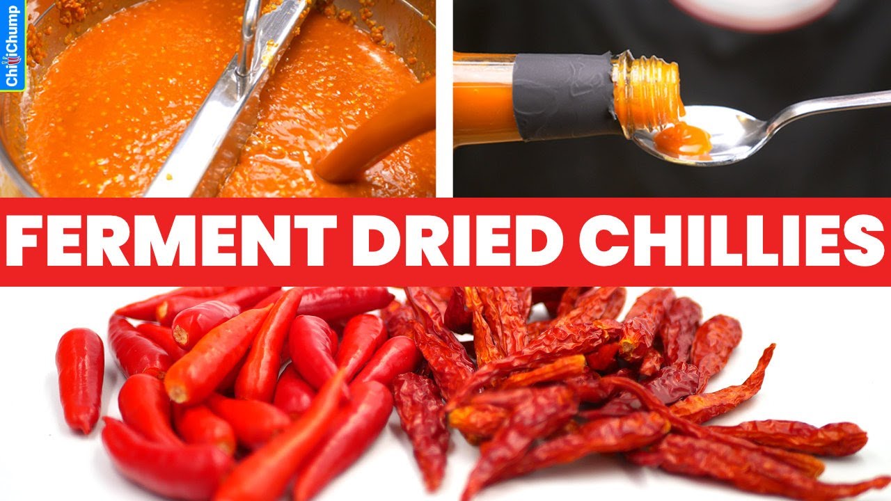 How to Ferment Dried Chillies for Hot Sauce