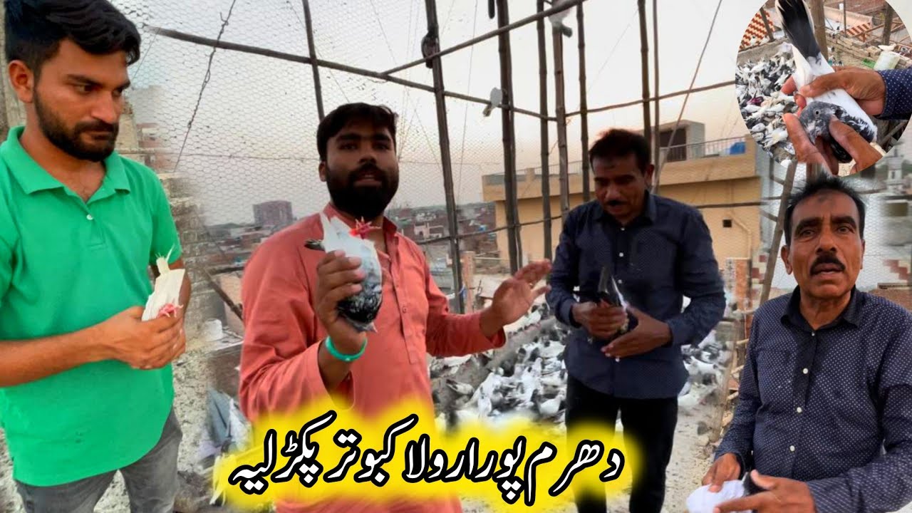 Dharampura Rula Kabootar Pakr Liya 😮