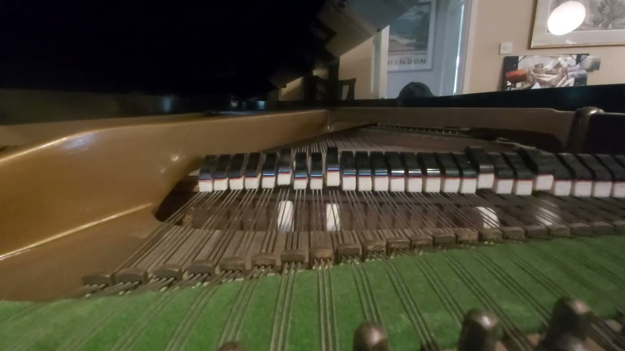 HEAR MY SOMG VIOLETTA : pianola performance by Adam Ramet 