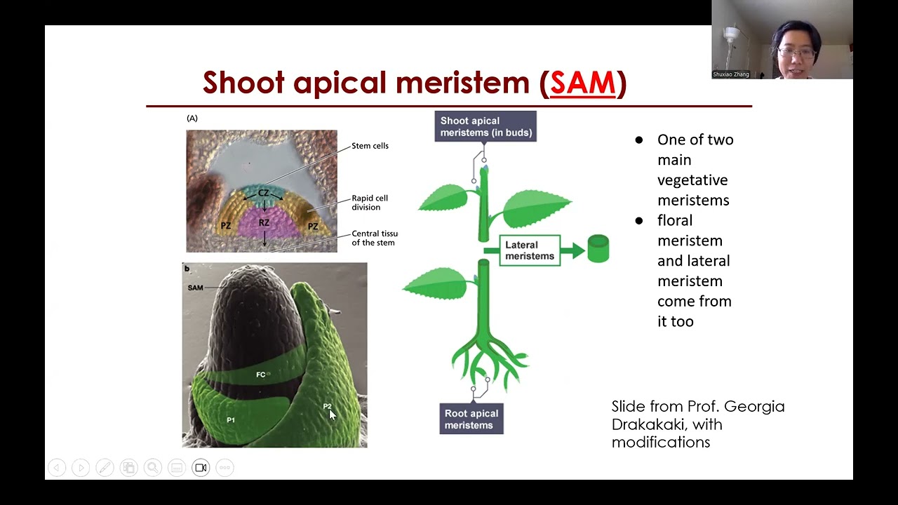 wk1 lec1part2