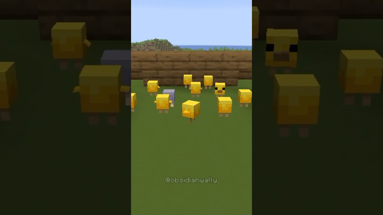 NEW BABY CHICKEN FARM #minecraft #minecraftbeauty #minecraftbuilding