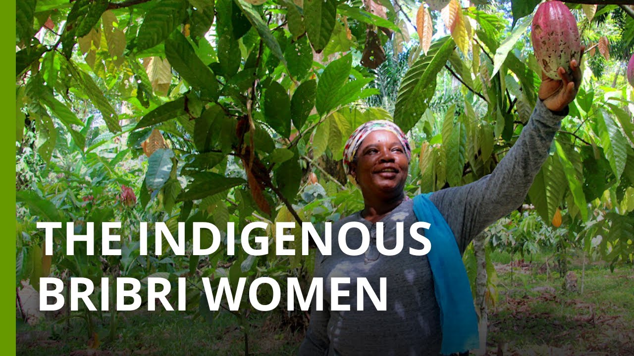 Bribri women's agroforestry maintains forests and Indigenous culture in Costa Rica