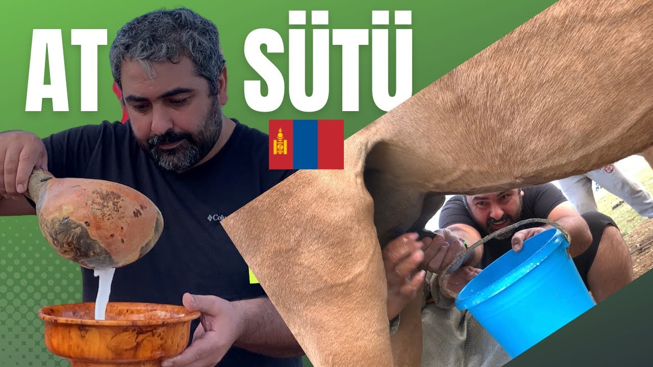 HAYATIMDA İLK KEZ AT SÜTÜ KIMIZ İÇTİM! TADI NİYE BÖYLE? #moğolistan #yemek #mongoliatravel